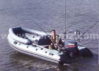 Кайман N 300
