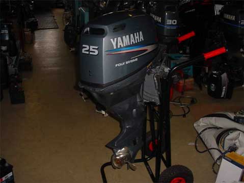 Yamaha F25 DES